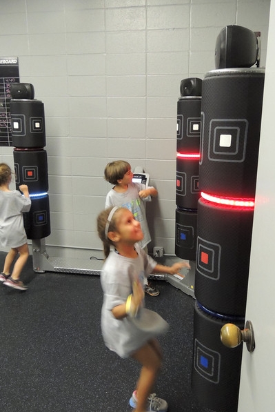fit interactive kick trainer