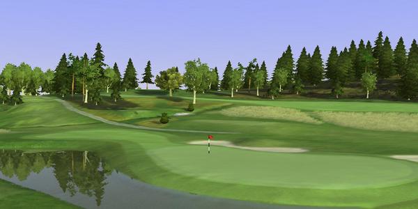golf simulator