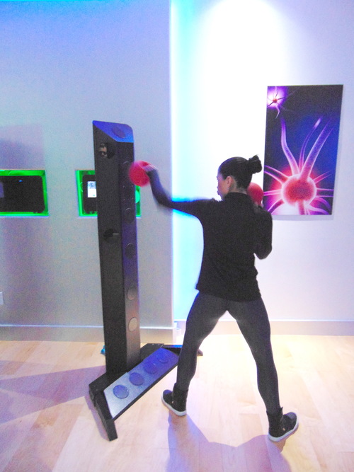 makoto interactive fitness training game