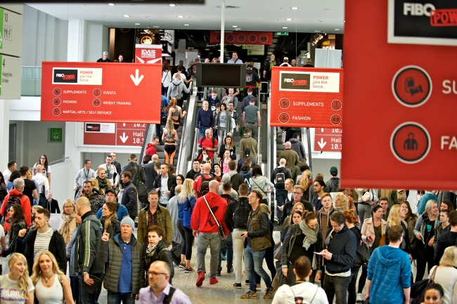 fibo power