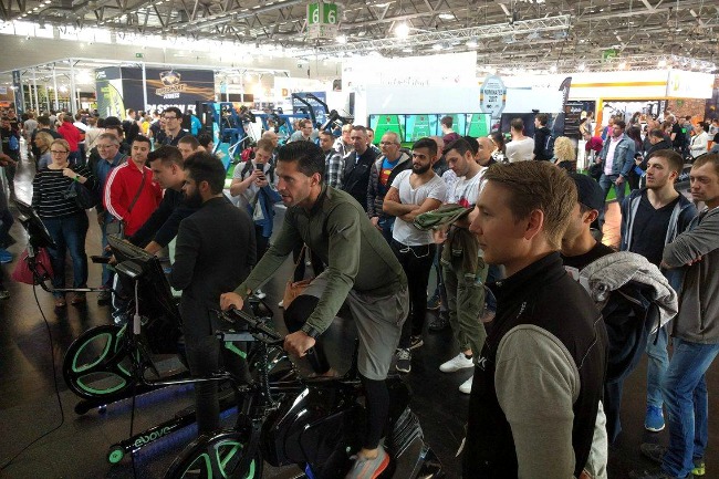 ebove fibo 2017