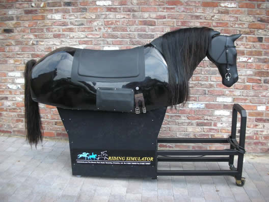 riding simulator for disabled